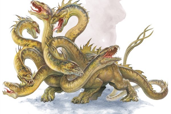 Kraken 13 at com