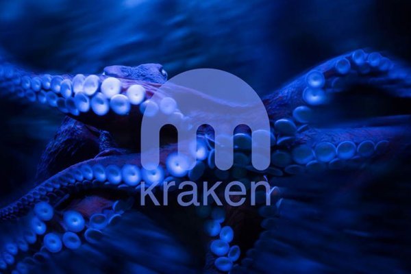 Kraken почему не работает